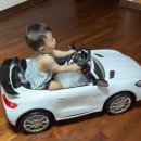 파파야 | 아기 푸쉬카 파파야나인 BMW 1년 사용 후기