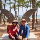 사천해변 이미지