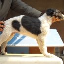 스테이 리네 이미지