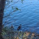 (유)승하 이미지