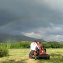 대지농장 이미지