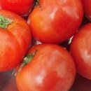 서호농장 이미지