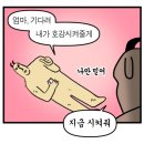 레푸스