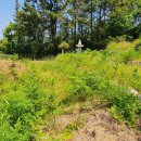 남해-229 이미지