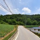 한반도면-4 이미지