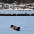 데굴데굴 이미지