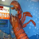 덴포라 이미지