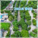 유명산258 이미지