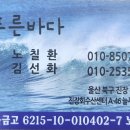 늘바다회센타 이미지