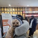 리더스동물병원 네이버블로그
