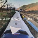 금와공인중개사사무소 이미지