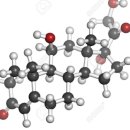 히드로코르티손 관련주 이번 소식 놓치지 마세요 이미지