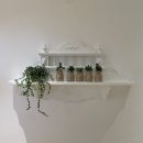 라피네(raffine) 이미지