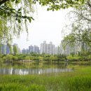 상동호수공원 이미지