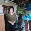 일월이용소 Daum카페