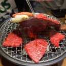 사시미한점 이미지