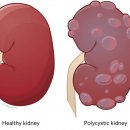 청라호수동물메디컬센터 이미지