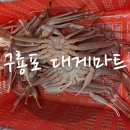 해맞이마트 | 🦀구룡포 대게마트 포항 호미곶 대게 맛집