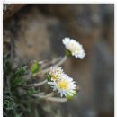 백운모텔 이미지