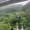 더블유펜션 - 강릉시 노추산로 305-27 | [단양 숙소 추천] 비 오는 날 더 좋았던 감성 숙소 더블유빌리지 W08 솔직 후기
