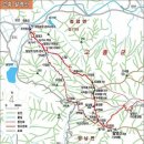 생명나무약국 이미지