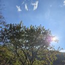 원주두리캠핑장 | 2025 할로윈체험 원주두리2캠핑장 아이들 놀거리 많아서 엄빠도 행복한곳