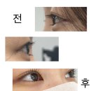 - | [모처럼봄날]| 오랜만에 해서 더욱 만족했던 양정동속눈썹 펌 후기