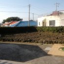 법환동-5 이미지