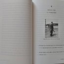 베리티