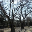 삼도남초등학교 이미지