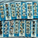 밤밤 애견유치원 이미지