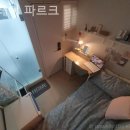 스테이파르크