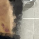 남양나무약국 네이버블로그