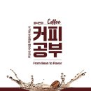 커피바리스타 초급B 이미지