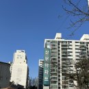 서울행당초등학교 | 서울숲 삼부아파트 신혼부부 임장 후기