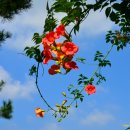 서일여행 이미지