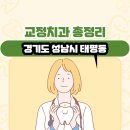 수정로119번길+남문로44번길 | 경기도 성남시 태평동 교정치과 총정리