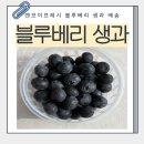 엔브이프레시 블루베리 생과 배송 후기