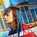 플라워 - 양천구 오목로 345 | 플라워