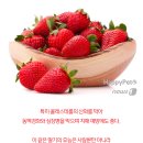 보고펫