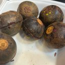 손오공 오락실 | 베트남 나트랑여행 9박 10일 - 3일차: 원숭이게임 (2026)