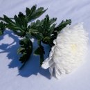 GS25시 명서드림점 | 251229🥕98 연말 결산_알짜배기 정보 11개, 미디어 외 후기 10개 모음