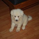 온달마루 이미지