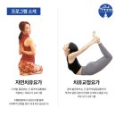 일반요가 이미지