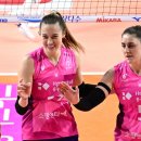 흥국생명 이미지