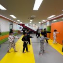 수 태권도장 이미지