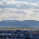 상화농장 이미지