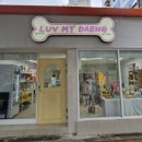 럽마이댕 네이버블로그