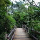 용산-267 이미지