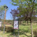 세종동_전월산 무궁화 테마공원 이미지